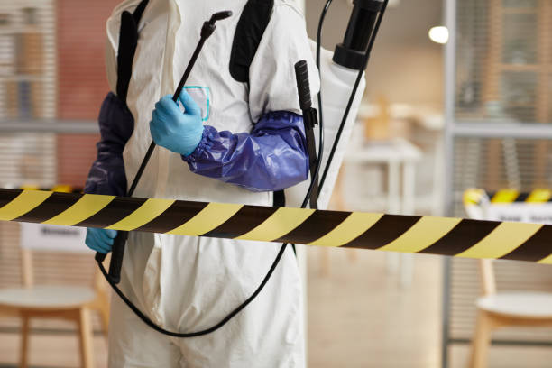 Professional Sewage Cleanup technician working in Palmer, NE